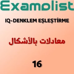 IQ-DENKLEM EŞLEŞTİRME