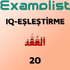 IQ-EŞLEŞTİRME