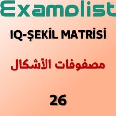 IQ-ŞEKİL MATRİSİ