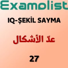 IQ-ŞEKİL SAYMA